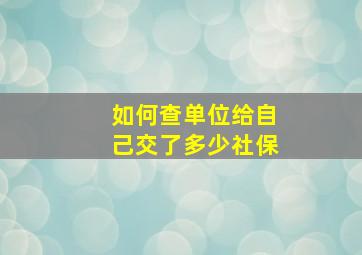 如何查单位给自己交了多少社保