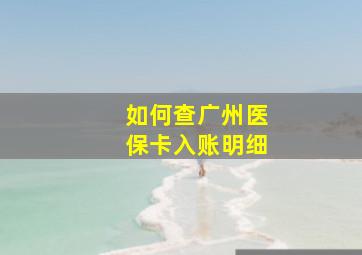 如何查广州医保卡入账明细