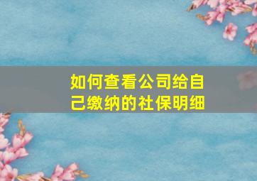 如何查看公司给自己缴纳的社保明细