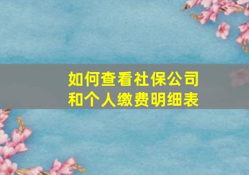 如何查看社保公司和个人缴费明细表