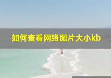 如何查看网络图片大小kb