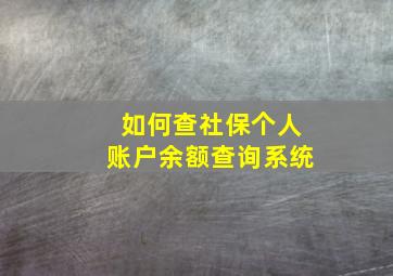 如何查社保个人账户余额查询系统