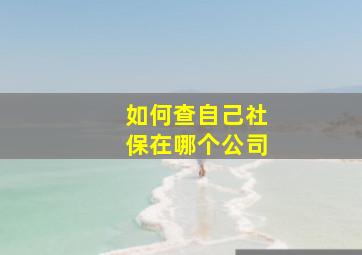 如何查自己社保在哪个公司