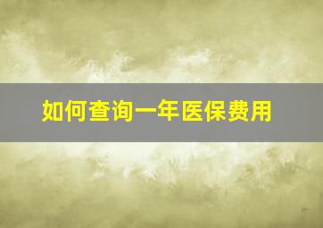 如何查询一年医保费用