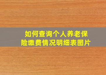 如何查询个人养老保险缴费情况明细表图片