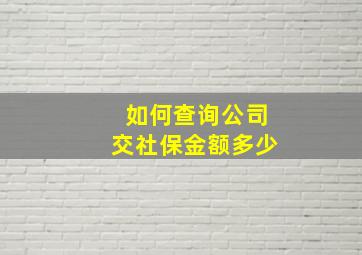 如何查询公司交社保金额多少