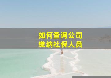 如何查询公司缴纳社保人员