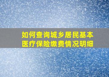 如何查询城乡居民基本医疗保险缴费情况明细