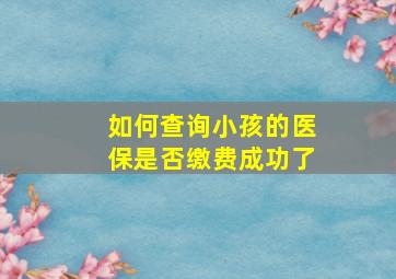 如何查询小孩的医保是否缴费成功了