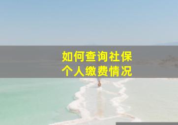 如何查询社保个人缴费情况