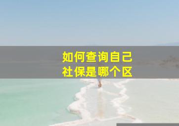 如何查询自己社保是哪个区