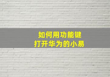 如何用功能键打开华为的小易