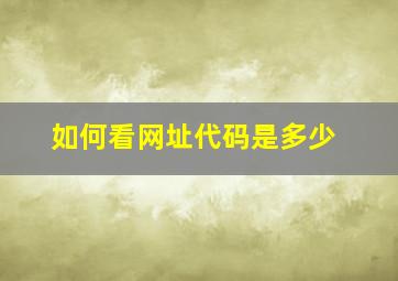 如何看网址代码是多少