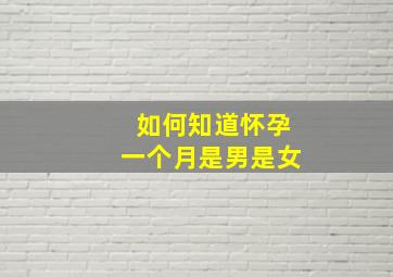 如何知道怀孕一个月是男是女