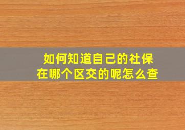 如何知道自己的社保在哪个区交的呢怎么查