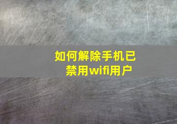 如何解除手机已禁用wifi用户