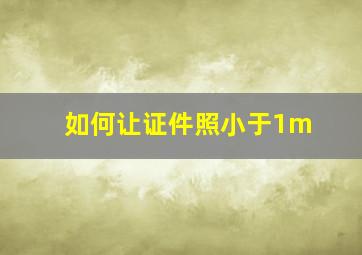 如何让证件照小于1m