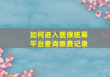 如何进入医保统筹平台查询缴费记录