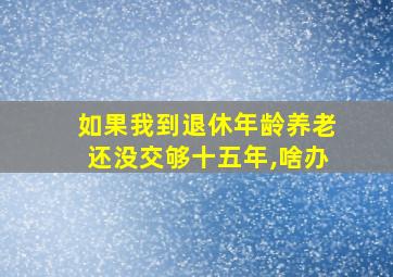 如果我到退休年龄养老还没交够十五年,啥办