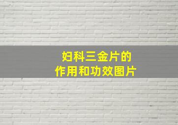 妇科三金片的作用和功效图片