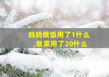 妈妈做饭用了1什么,做菜用了20什么