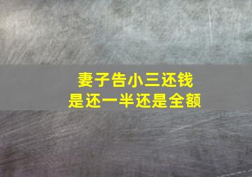 妻子告小三还钱是还一半还是全额