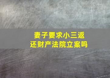 妻子要求小三返还财产法院立案吗