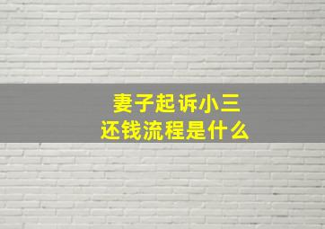 妻子起诉小三还钱流程是什么