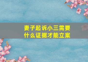 妻子起诉小三需要什么证据才能立案