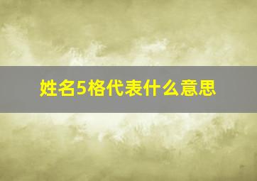 姓名5格代表什么意思