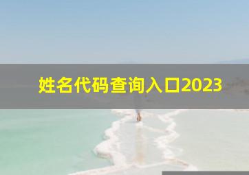 姓名代码查询入口2023