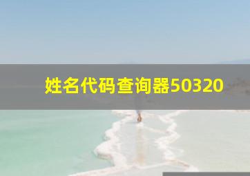 姓名代码查询器50320