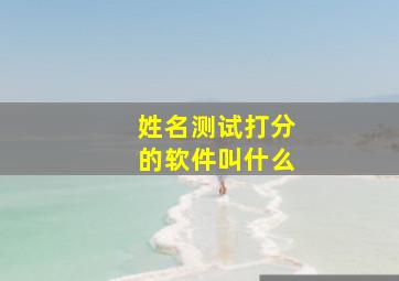 姓名测试打分的软件叫什么