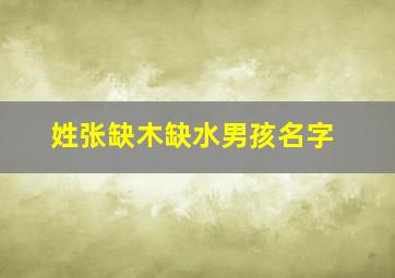 姓张缺木缺水男孩名字