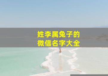 姓李属兔子的微信名字大全