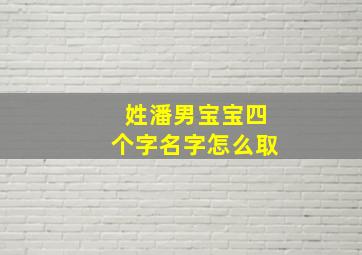 姓潘男宝宝四个字名字怎么取