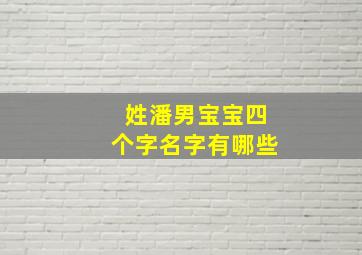 姓潘男宝宝四个字名字有哪些