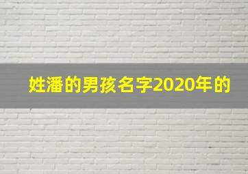 姓潘的男孩名字2020年的