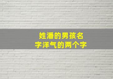 姓潘的男孩名字洋气的两个字