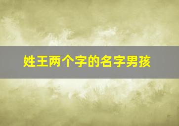 姓王两个字的名字男孩