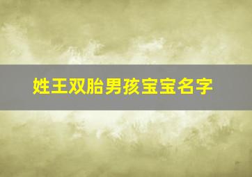 姓王双胎男孩宝宝名字