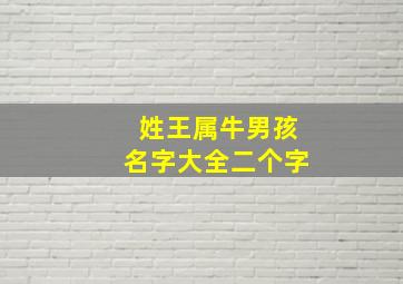 姓王属牛男孩名字大全二个字