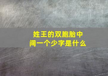 姓王的双胞胎中间一个少字是什么