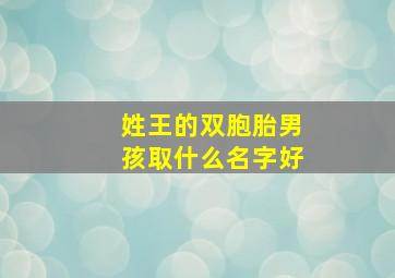 姓王的双胞胎男孩取什么名字好