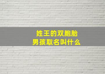 姓王的双胞胎男孩取名叫什么