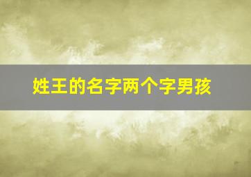 姓王的名字两个字男孩