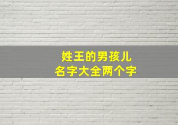 姓王的男孩儿名字大全两个字