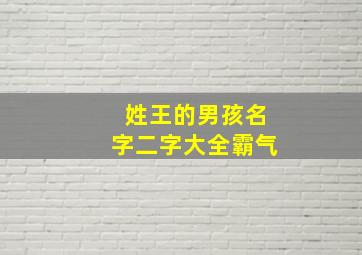 姓王的男孩名字二字大全霸气