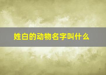 姓白的动物名字叫什么