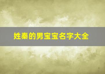 姓秦的男宝宝名字大全